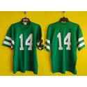 New York Jets #14 Richard Todd Green Stitched Jersey