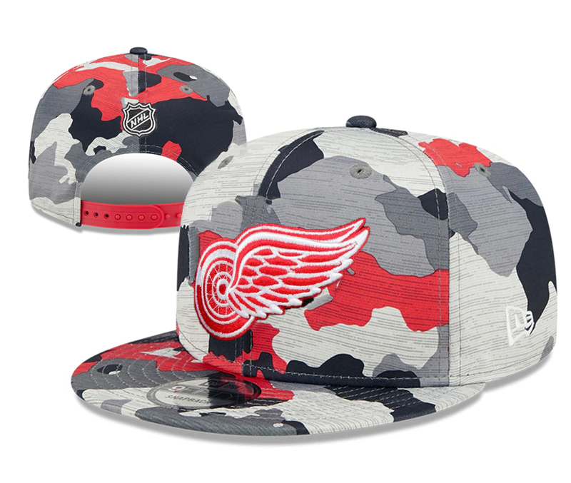 Detroit Red Wings Snapback Hats -2